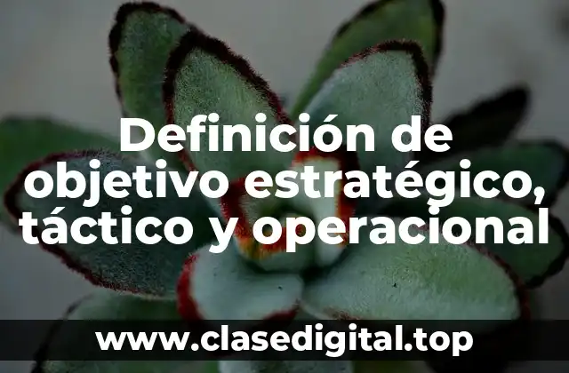 Definición de objetivo estratégico, táctico y operacional