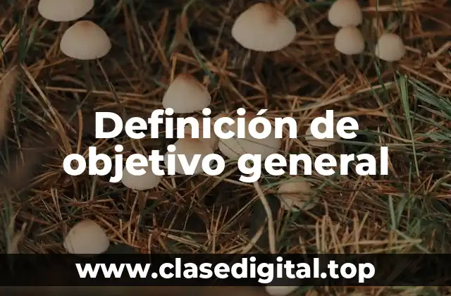 Definición de objetivo general