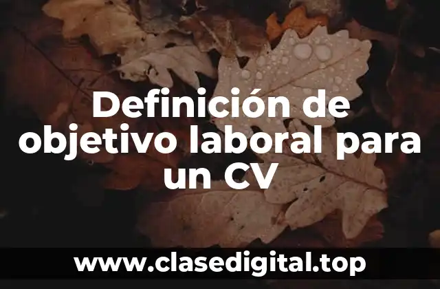 Definición de objetivo laboral para un CV