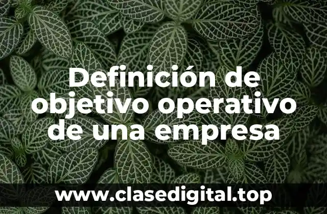 Definición de objetivo operativo de una empresa