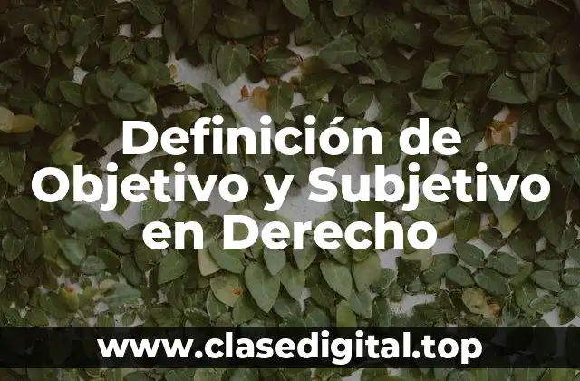 Definición de Objetivo y Subjetivo en Derecho