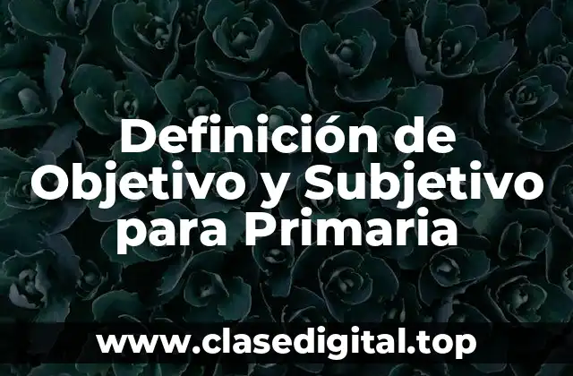 Definición de Objetivo y Subjetivo para Primaria