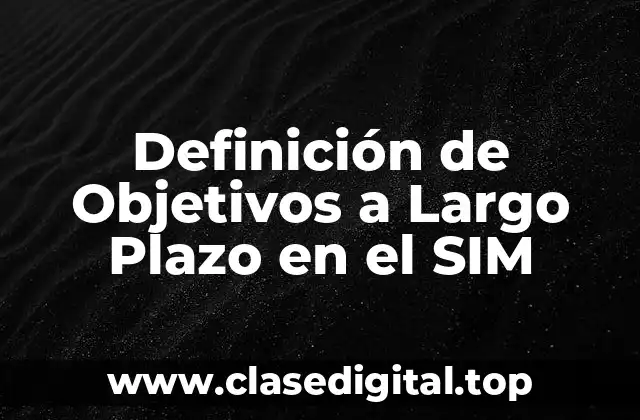 Definición de Objetivos a Largo Plazo en el SIM