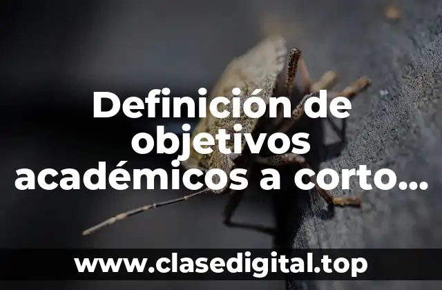 Definición de objetivos académicos a corto, mediano y largo plazo.