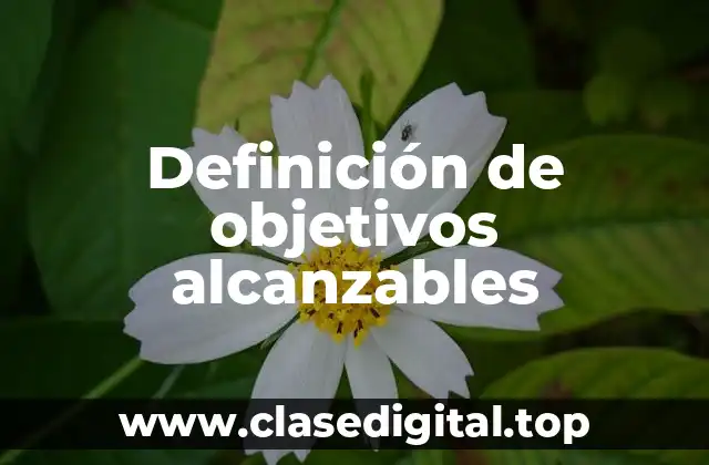 Ejemplos de objetivos alcanzables
