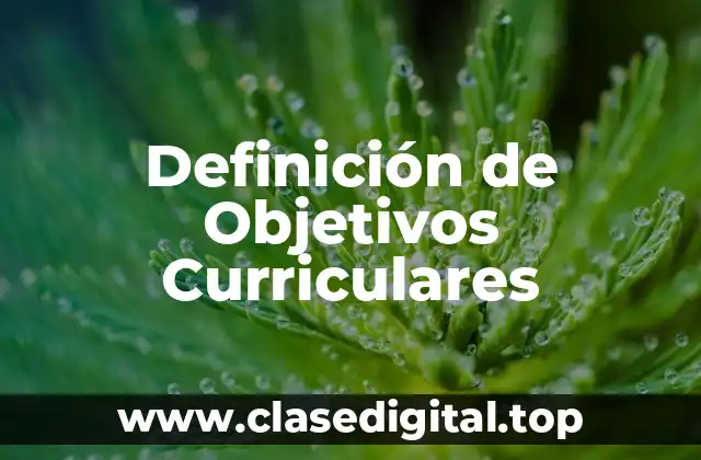 Definición de Objetivos Curriculares