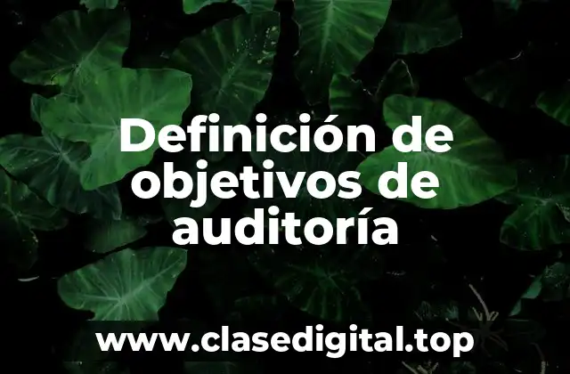 Definición de objetivos de auditoría