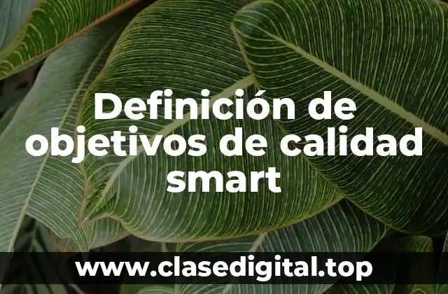 Definición de objetivos de calidad smart