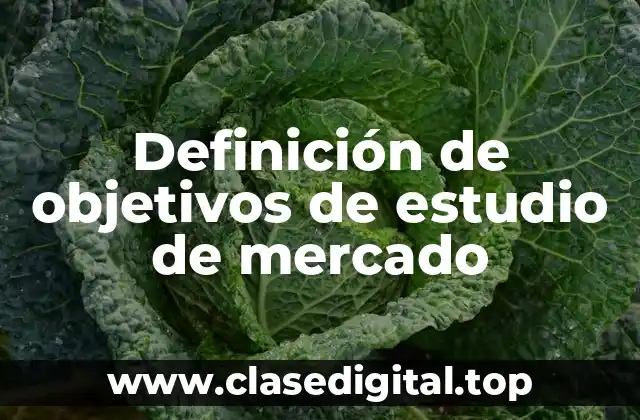 Definición de objetivos de estudio de mercado