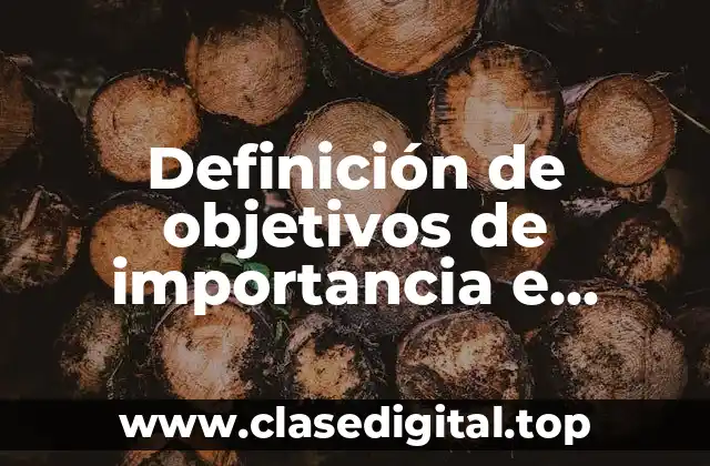 Definición de objetivos de importancia e introducción de una empresa