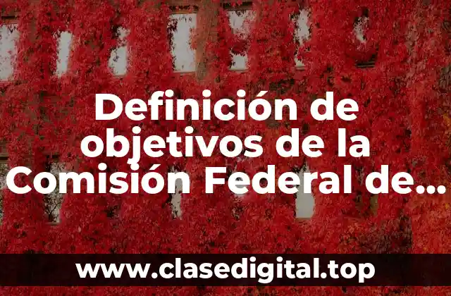 Definición de objetivos de la Comisión Federal de Electricidad