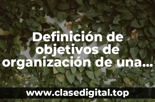 Definición de objetivos de organización de una empresa