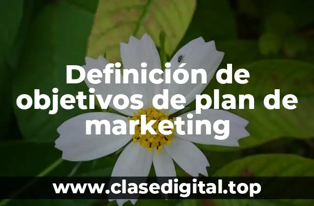 Definición de objetivos de plan de marketing
