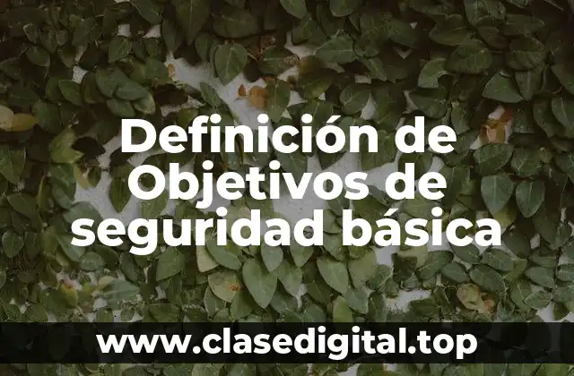 Ejemplos de Objetivos de seguridad básica