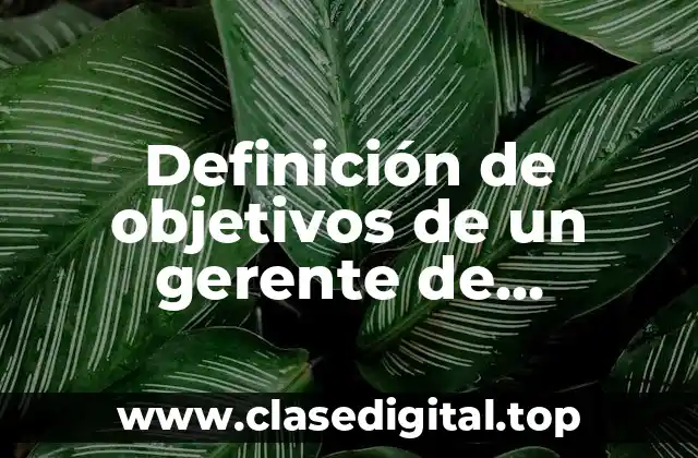 Definición técnica de objetivos de un gerente de ingeniería