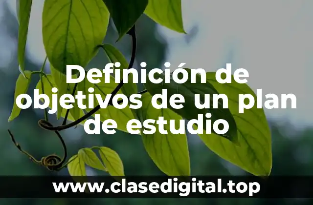 Definición de objetivos de un plan de estudio