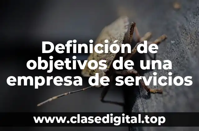 Definición de objetivos de una empresa de servicios