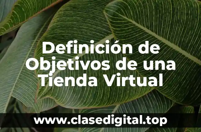 Ejemplos de Objetivos de una Tienda Virtual