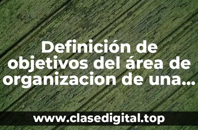Definición de objetivos del área de organizacion de una empresa