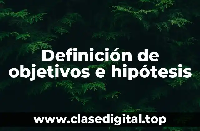 Definición de objetivos e hipótesis