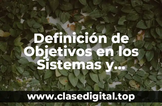 Definición de Objetivos en los Sistemas y Procedimientos Administrativos