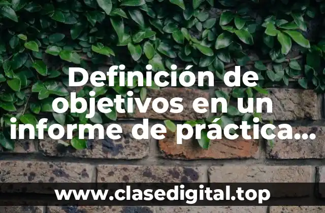 Definición de objetivos en un informe de práctica profesional