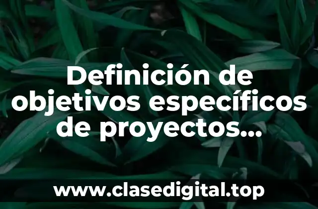 Definición de objetivos específicos de proyectos educativos