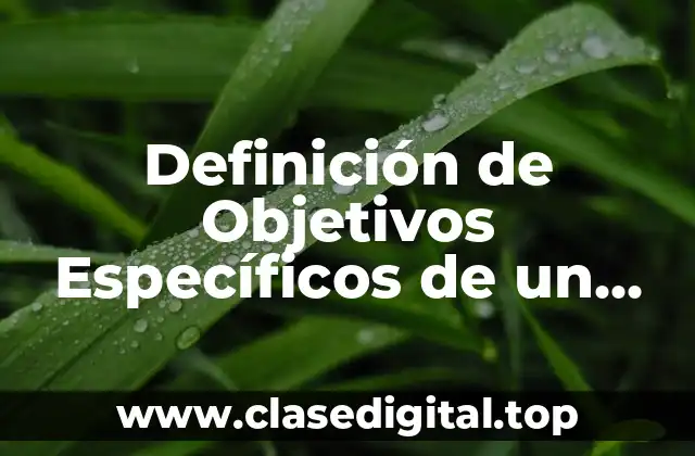 Definición de Objetivos Específicos de un Manual