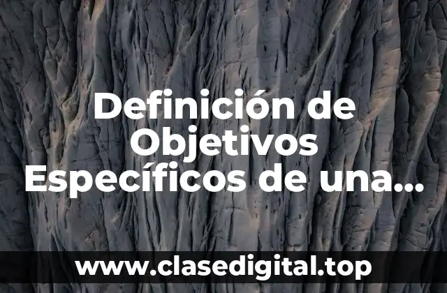 Definición de Objetivos Específicos de una Empresa