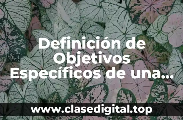 Definición de Objetivos Específicos de una Investigación