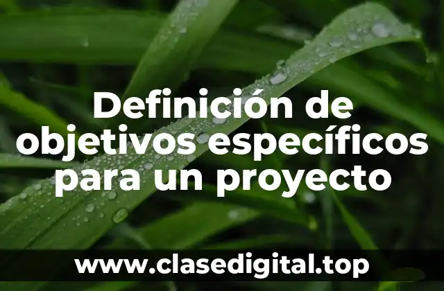 Definición de objetivos específicos para un proyecto