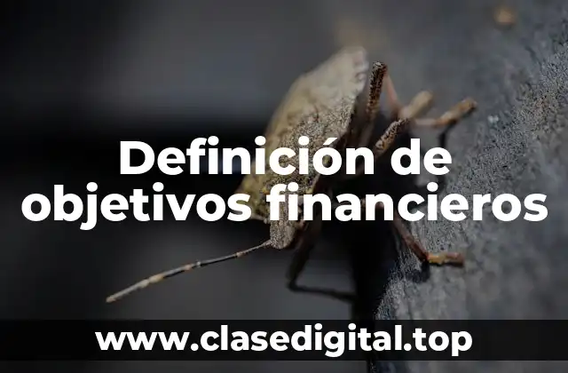 Definición técnica de objetivos financieros