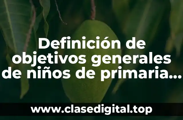 Definición de objetivos generales de niños de primaria con rezago
