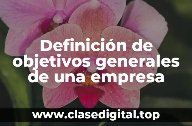 Definición de objetivos generales de una empresa