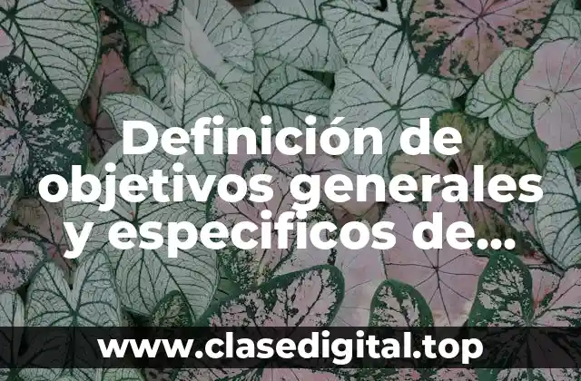 Definición de objetivos generales y especificos de empresas