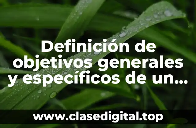 Ejemplos de objetivos generales y específicos de un informe trimestral