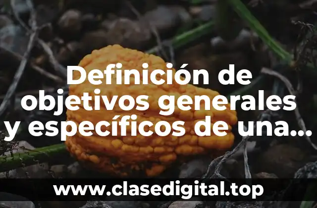 Definición de objetivos generales y específicos de una investigación cuantitativa