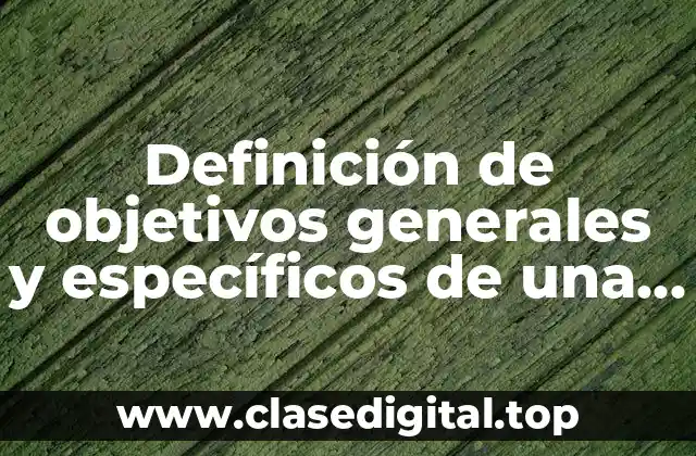 Definición de objetivos generales y específicos de una investigación educativa