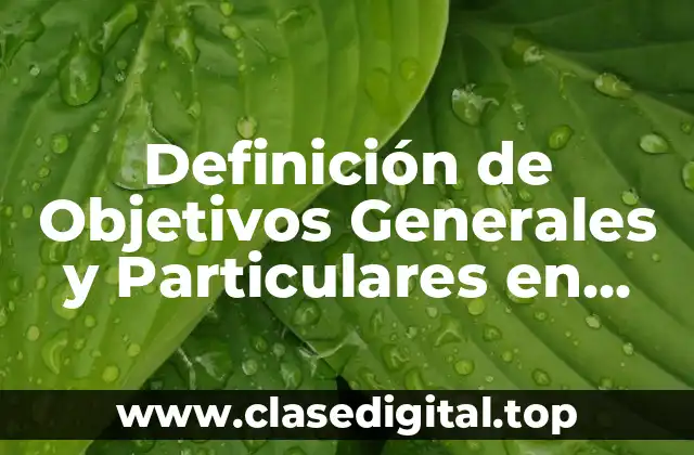 Definición de Objetivos Generales y Particulares en Metodología