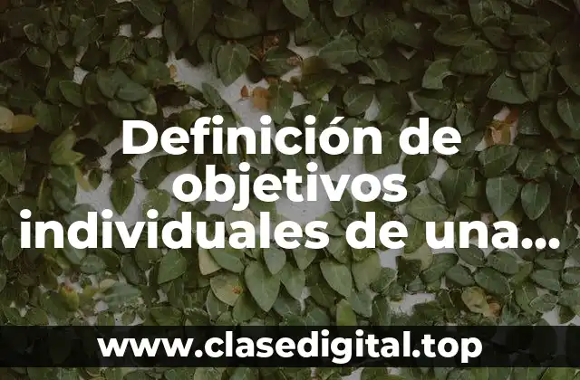 Definición de objetivos individuales de una empresa