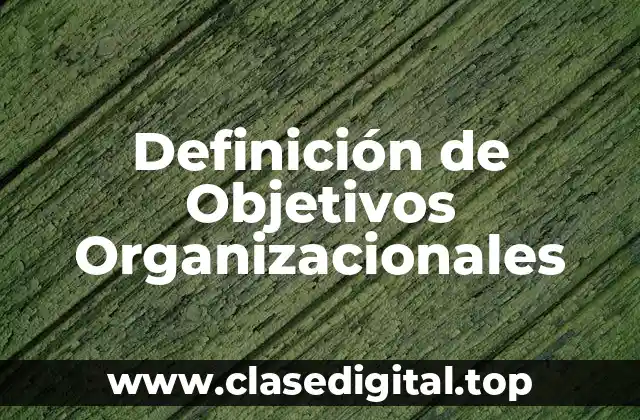Definición técnica de Objetivos Organizacionales