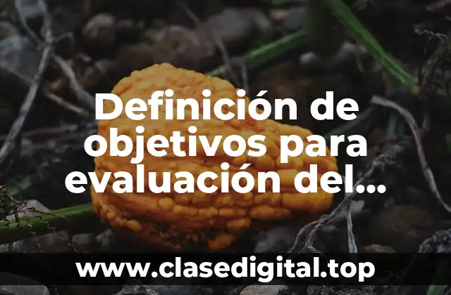 Definición de objetivos para evaluación del desempeño laboral