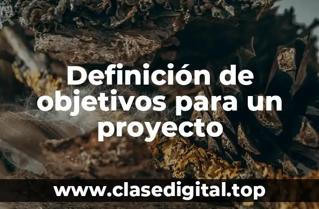 Definición de objetivos para un proyecto