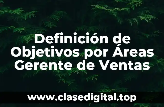 Definición de Objetivos por Áreas Gerente de Ventas