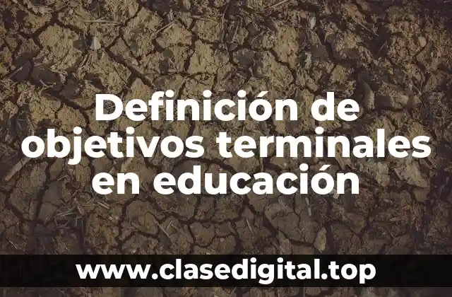 Definición de objetivos terminales en educación