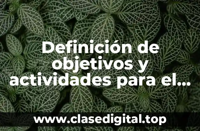 Definición de objetivos y actividades para el plan de trabajo