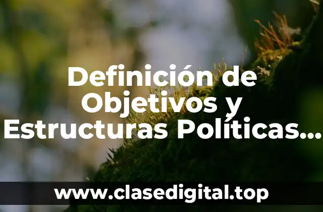 Definición Técnica de Objetivos y Estructuras Políticas en Administración