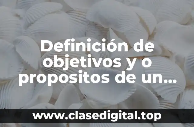 Definición de objetivos y o propositos de un problema