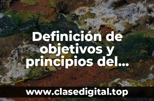 Definición de objetivos y principios del control