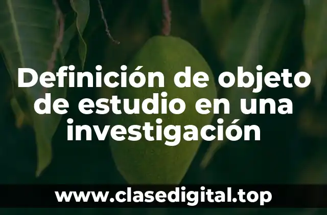 Ejemplos de objeto de estudio en una investigación